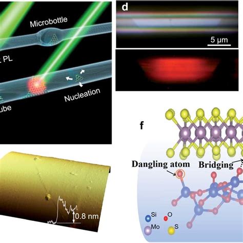 Monolayer Mos 2 Grown On Mnfs A Conceptual Illustration Of Monolayer Download Scientific