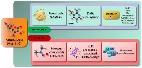 Ijms Free Full Text Vitamin C Supplementation In The Treatment Of