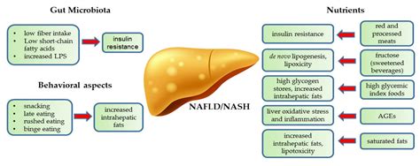 Nutrients Free Full Text Beyond The Paradigm Of Weight Loss In Non