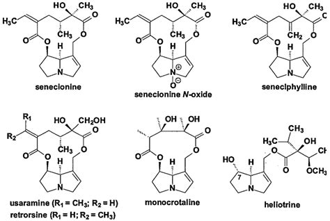 Structural Formulae Of Some Pyrrolizidine Alkaloids Illustrating The