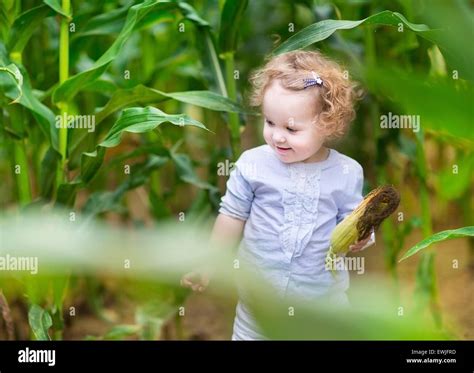 Beautiful Curly Baby Girl Eating Corn In A Field Stock Photo Alamy