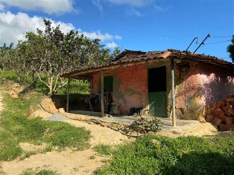 Com Que Objetivo As Comunidades Quilombolas Se Dedicam A Pecuária