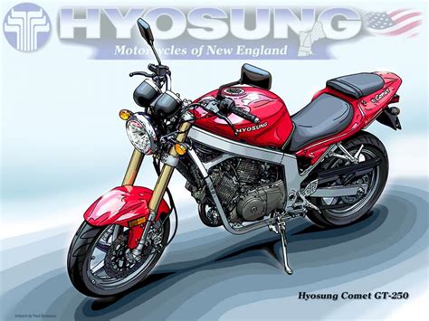 Hyosung Hyosung GT 250 Naked GT 250 Comet Moto ZombDrive