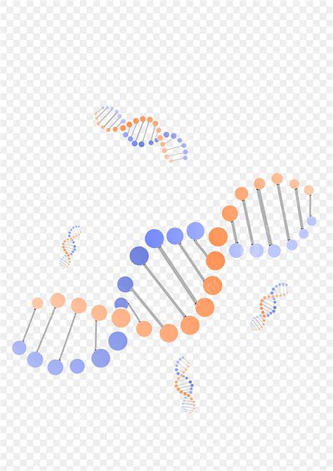 Dna Structure PNG Picture, Chemical Dna Structure Diagram Illustration ...