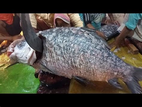 Amazing 50 Kg Fish Katla Big Fish Cutting Expert Butcher Live Fish