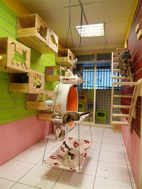 18 Amazing Cat Room Designs For Your Inspiration Cat Room Cat Play