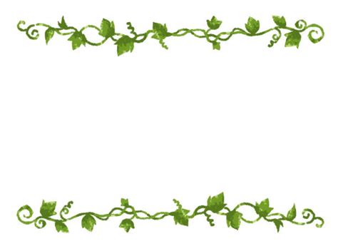 Ivy Borders Drawing Illustrations Royalty Free Vector Graphics And Clip