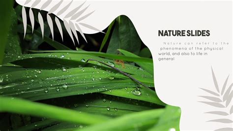 AE Template: Nature Slides | Effects SBV-347453139 - Storyblocks