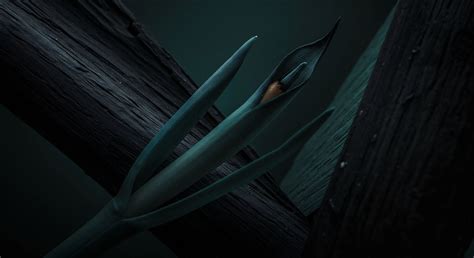 Unilever Sustainable Living Plan → Term