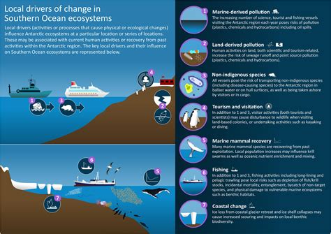 Frontiers Local Drivers Of Change In Southern Ocean Ecosystems Human