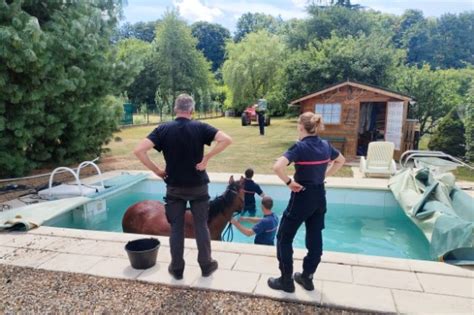 Les pompiers sauvent un cheval tombé dans une piscine à Ormoy Villers