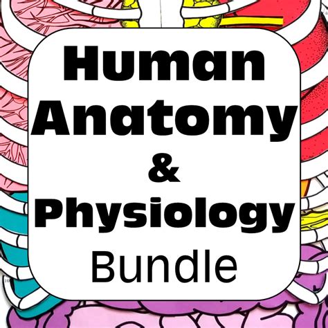 human anatomy physiology structure function model diagrams