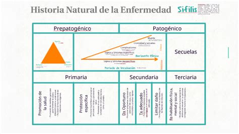 Esquema De La Historia Natural De Enfermedad