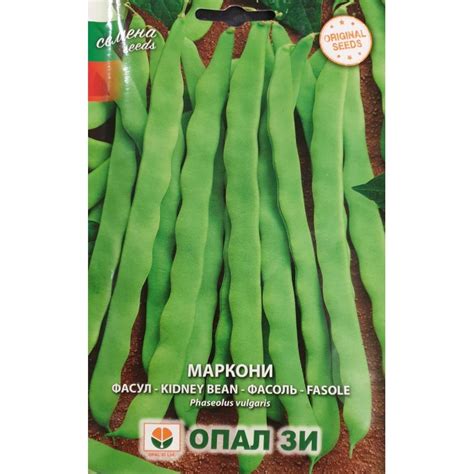 Високодобивни сортове зелен фасул, жълт фасул, боб за зряло и много ...