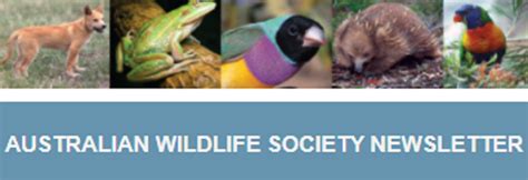 E News Bulletin Australian Wildlife Society