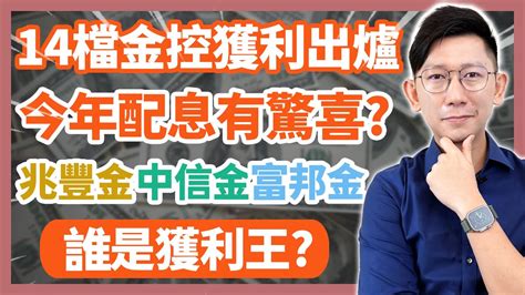 14檔金控獲利全出爐！今年配息有驚喜？兆豐金、中信金、富邦金究竟誰是獲利王？【大俠武林】金融股 Etf 高股息 存股 定期定額 被動收入