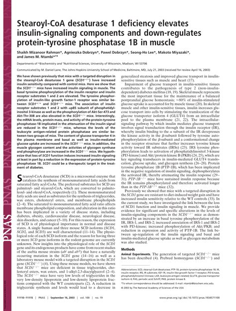 PDF Stearoyl CoA Desaturase 1 Deficiency Elevates Insulin Signaling