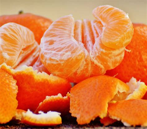 Mandarin orange, a tree with tasty easy-to-peel citrus fruits