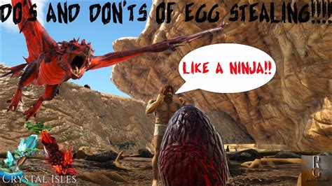 Ark How To Steal Crystal Wyvern Eggs L How To Not Die Youtube