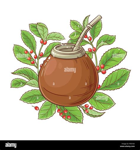 Mate Ilustraci N Vectorial Sobre Fondo Blanco Imagen Vector De Stock