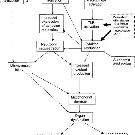 Pdf The Multiple Organ Dysfunction Syndrome