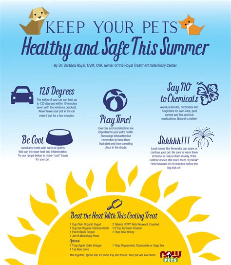 Pet Health And Safety Keep Your Pet Safe This Summer Now