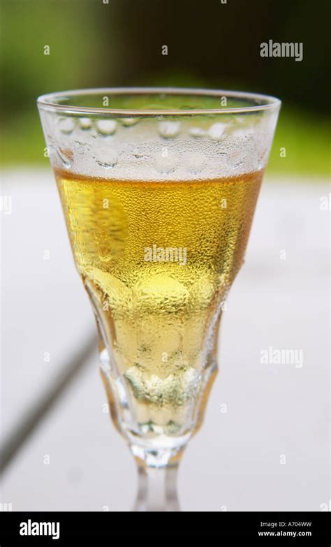 Swedish Traditional Aquavit Schnapps Glass In Pointed Form Filled To