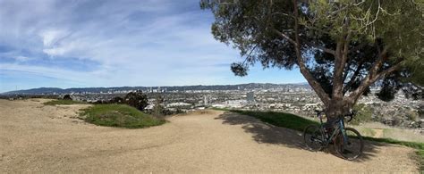 Winter Ride In Los Angeles Today : r/gravelcycling