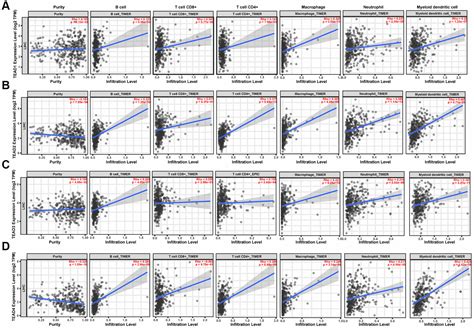 Integrative Bioinformatics And Experimental Analysis Revealed Tead As