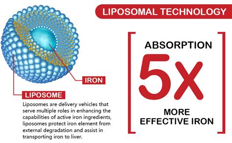 Amazon Liposomal Fe Iron Supplement For Women Mg Iron