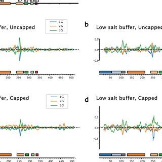 Two Dimensional Mapping Of RNA Structure In 1G 2G Dimer And 3G Monomer