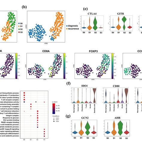 Batch Correction And Evaluation Of Multi Batch Integrated Scrna Seq