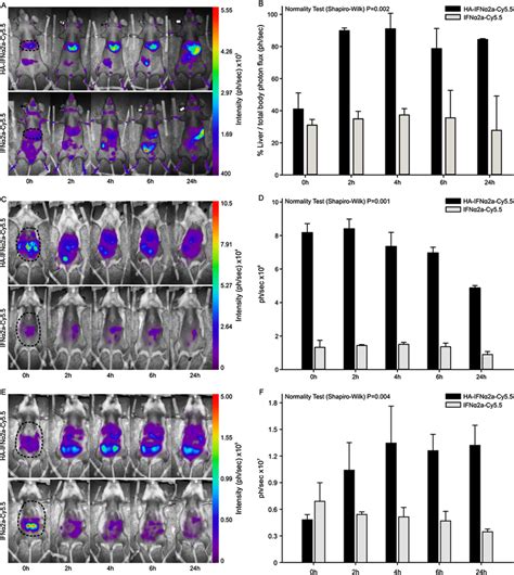 Biodistribution Analysis Of Cy Labeled Ha Ifn A And Ifn A In