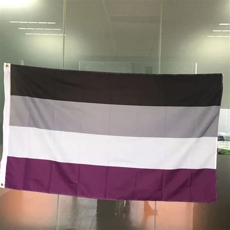 Lgbt Asexual Rainbow Pride 5x3 Flag Vivid Color And Uv Fade Resistant