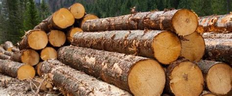 What is Logging and How Does it Work?