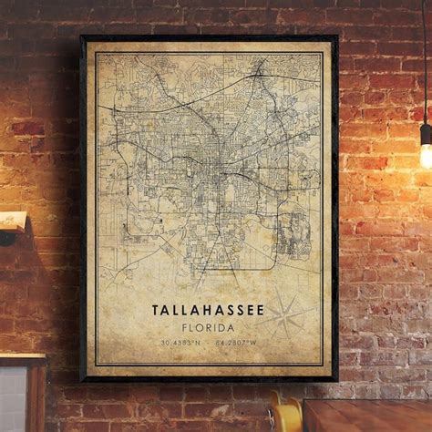 Tallahassee Florida Ts Etsy