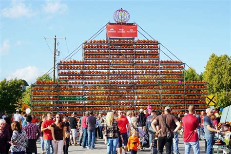 Keene Nh Pumpkin Festival 2024 - Jacqui Ronnica