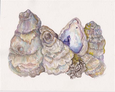 Oysters Watercolor Painting Original 8 X 10 Oyster Shells Painting