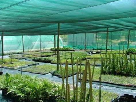 Shade Cloth For Agricultural And Building Industry With 50 95 Rate