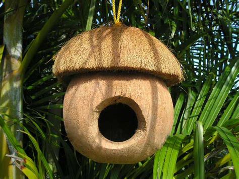 Coconut Bird House Bird House Coconut Shell Crafts Wooden Bird Houses