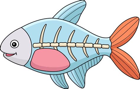 X Ray Fish Clipart X Ray Fish Clip Art Images Hdclipartall | The Best Porn Website