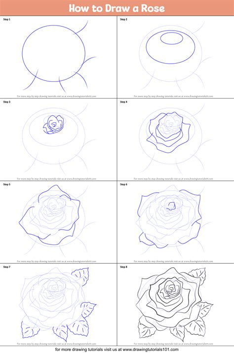 Roses Drawing Tutorial