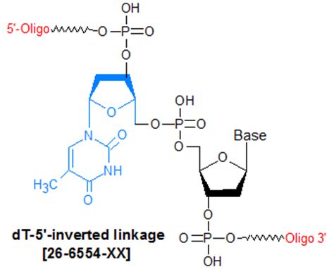 Inverted DT Reverse Linkage Oligo Modifications From Gene Link