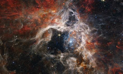 NASA S James Webb Captures Stunning New Image Of Giant Space Tarantula