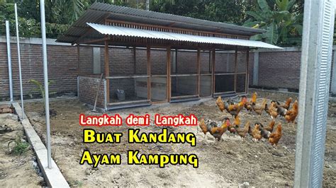 Detail Desain Kandang Ayam Kampung Koleksi Nomer 15