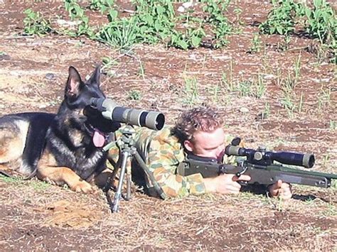 Pin by Rose Ella Chap on USMC | Military dogs, Funny animal pictures ...