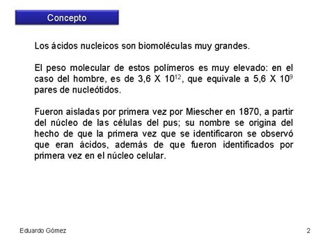 Cidos Nucleicos Eduardo Gmez 1 Concepto Los Cidos