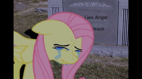 Fluttershy is crying, what do I do? - YouTube