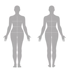Naked Standing Woman Silhouette Royalty Free Vector Image