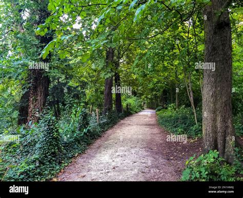 Paris France French Pubic Parkscenic View With Pathway Leading Into